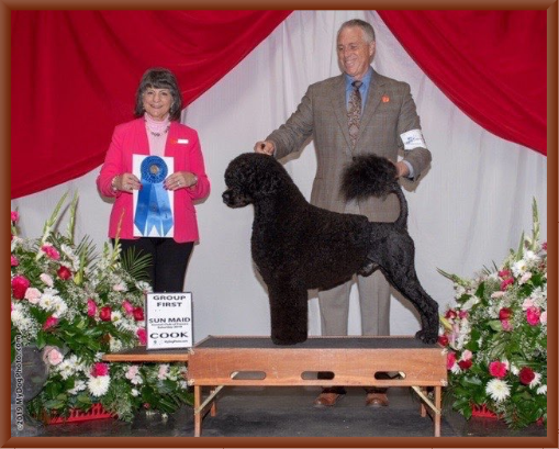 Bernie Wins the Working Group at Fresno in January 2019 with Handler Bill McFadden.